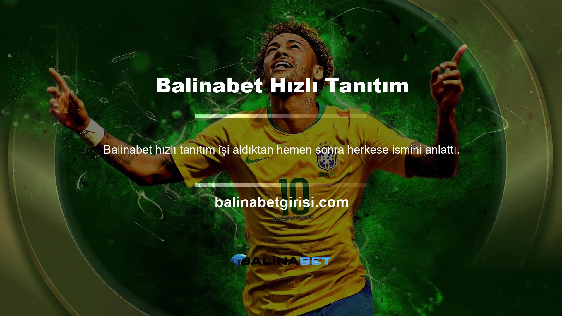 Kimseye kapattığı diğer yasadışı web sitelerini anlatmadı